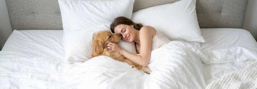 Pet Hair Resistant Bedding & Sheets