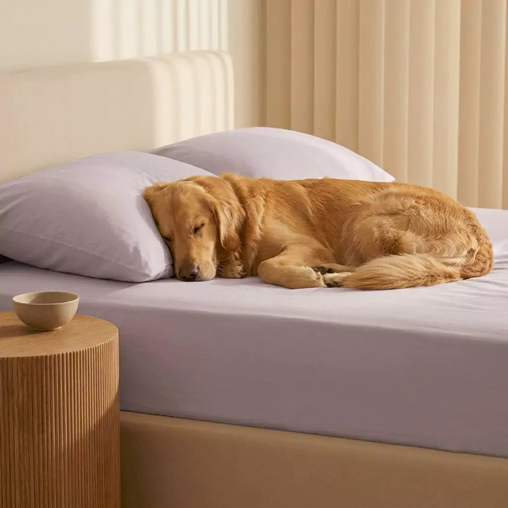 Core sheet sets