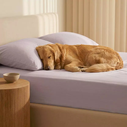Core sheet sets